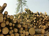 Предприятия компании "Илим Палп Энтерпрайз" за 2002 год заготовили рекордное количество древесины Предприятия компании "Илим Палп Энтерпрайз" за 2002 год заготовили рекордное количество древесины