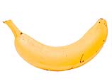 Бананы исчезнут через 10 лет