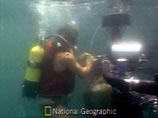 На дне Черного моря найден самый старый корабль. Он затонул 2400 лет назад На дне Черного моря найден самый старый корабль. Он затонул 2400 лет назад