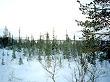 Через три года природные зоны будут занимать треть Через три года природные зоны будут занимать треть