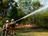 В столице Австралии Канберре в субботу в связи с сильнейшими лесными пожарами введено чрезвычайное положение