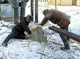 Вторые сутки во Владивостоке ведутся работы по ликвидации крупной аварии на магистральном теплопроводе в многотясячном жилом районе "БАМ" Вторые сутки во Владивостоке ведутся работы по ликвидации крупной аварии на магистральном теплопроводе в многотясячном жилом районе "БАМ"