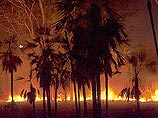 Огонь уже вплотную приблизился к столице страны городу Канберре, где объявлено чрезвычайное положение