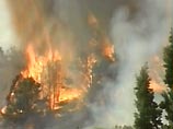 В девяти штатах США бушуют 70 сильнейших лесных пожаров