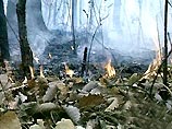 Около гектара лесного массива на примыкающей к курортному Пятигорску горе Машук уничтожил вспыхнувший при сухой бесснежной погоде нынешнего февраля пожар