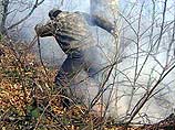 Пожар уничтожил лесной массив на горе Машук близ Пятигорска