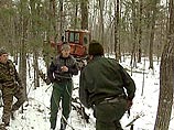 В Свердловской области деревья живут меньше человека В Свердловской области деревья живут меньше человека