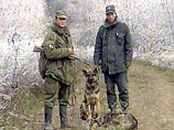 Грузовой автомобиль ЗиЛ-131, в котором находилось около 1200 кг взрывчатки, обнаружен и обезврежен армейским спецназом в Гудермесском районе Чечни Грузовой автомобиль ЗиЛ-131, в котором находилось около 1200 кг взрывчатки, обнаружен и обезврежен армейским спецназом в Гудермесском районе Чечни