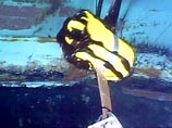 После 2,5 месяцев работ на затонувшем танкере, количество нефти, вытекающей из трюма "Престижа" сократилось с 125 тонн в день до 2 тонн После 2,5 месяцев работ на затонувшем танкере, количество нефти, вытекающей из трюма "Престижа" сократилось с 125 тонн в день до 2 тонн