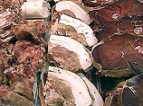 Правительство Германии опубликовало срочное предостережение по поводу сортов колбасы, в приготовлении которых могло использоваться мясо, зараженное губчатообразной энцефалопатией ("коровьим бешенством")