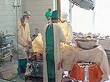 В Жирновской центральной больнице пятикласснице Тамаре была сделана операция по удалению "постороннего предмета". Как выяснили врачи, девочка проглотила иглу