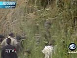 Иракские военные захватили американского пилота, катапультировавшегося в Багдаде. Поиск летчиков был показан в прямом эфире, картина происходящего на 16:50 мск