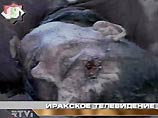4 корабля ВМС США в Персидском заливе столкнулись с плавучими минами и повреждены
4 корабля ВМС США в Персидском заливе столкнулись с плавучими минами и повреждены