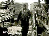 Морские пехотинцы США обнаружили в Насирии семь трупов своих солдат Морские пехотинцы США обнаружили в Насирии семь трупов своих солдат