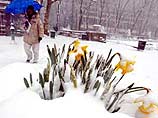 По данным метеорологов, весеннего снегопада подобного масштаба нью-йоркцы не видели 21 год - 6 апреля 1982 года выпало около 25 см снежных осадков