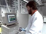 Цепочки ДНК из подобных образцов почвы открывают окно в древние экологические ниши Цепочки ДНК из подобных образцов почвы открывают окно в древние экологические ниши