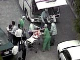 Львы загрызли смотрителя сафари-парка в Японии Львы загрызли смотрителя сафари-парка в Японии
