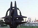 Делегация НАТО происпектировала Панкисское ущелье