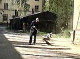 В Новосибирске разрабатывают метлу с мотором В Новосибирске разрабатывают метлу с мотором