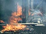 Наибольшее количество новых очагов огня - 28 появилось в Хабаровском крае, а всего здесь обнаружено почти 60 пожаров