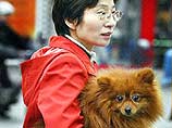 Владельцы домашних животных в Китае вынуждены отказываться от своих кошек и собак или даже убивать их из-за угрозы распространения атипичной пневмонии