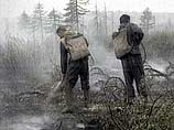 Авиапожарные и сотрудники лесной охраны справились с самым крупным лесным пожаром на площади 350 гектаров, несколько дней бушевавшим вблизи города Шелехова