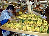 Рабочие известной бельгийской фирмы по торговле продуктами питания "Колройт" в партии бананов, поступившей в магазин этой сети в городке Халле, неподалеку от Брюсселя, обнаружили белый порошок