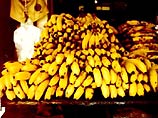 По данным полиции, проведенный анализ показал, что это кокаин. Всего в бананах найдено 140 кг наркотика