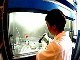 Впервые в науке разработан прямой метод выявления злокачественных клеток крови - лейкоцитов с хромосомными мутациями