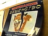 В Подмосковье наблюдается вспышка бешенства диких животных. Если за весь прошлый год было зарегистрировано 59 случаев, то лишь этой весной обнаружено уже 66 очагов инфекции В Подмосковье наблюдается вспышка бешенства диких животных. Если за весь прошлый год было зарегистрировано 59 случаев, то лишь этой весной обнаружено уже 66 очагов инфекции