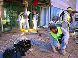 Опознана террористка, устроившая взрыв в торговом центре Афулы