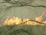 Крупный пожар бушует в Тигильском районе Корякского автономного округа /КАО/ на Камчатке. В районе села Верхнее Хайрюзово горят от 2,5 до 3 тыс. гектаров оленьих пастбищ и кедрового стланика