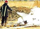 По делу о казни методом "ожерелья" в ЮАР арестованы 26 человек По делу о казни методом "ожерелья" в ЮАР арестованы 26 человек