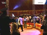 Часть зрительских трибун обрушилась в пятницу вечером в шатре цирка шапито в Барнауле, где начались гастроли Большого московского цирка на проспекте Вернадского