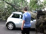 Над Германией пронесся мощный ураган. Повалены деревья, оборваны линии электропередачи Над Германией пронесся мощный ураган. Повалены деревья, оборваны линии электропередачи
