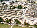 В здание Пентагона проник голубь-шпион - его ловили 40 минут
