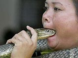 В Таиланде появились глотатели змей