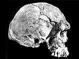 Как отмечает АР, эти черепа являются самыми древними и целыми останками непосредственных предков Homo Sapiens, обнаруженными на сегодняшний день