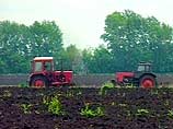 Британские фермеры, измученные бюрократией Европейского Союза, перебираются в Россию, чтобы культивировать земли, предлагаемые иностранцам в плодородном регионе