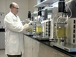 В США ученые-сектанты приступили к клонированию человека В США ученые-сектанты приступили к клонированию человека