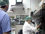 Ученые сделали "важный шаг" на пути к созданию вакцины против СПИДа Ученые сделали "важный шаг" на пути к созданию вакцины против СПИДа