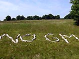 На зеленом лугу в Восточном Суссексе они выложили своими обнаженными телами слова "нет ГМ!"