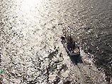 В Охотском море задержано браконьерское судно