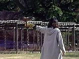 В Японии энтузиасты предпринимают попытку возродить соколиную охоту, передает НТВ. Правда, говорят, для этого нужны обширные угодья, а земля в Японии стоит дорого В Японии энтузиасты предпринимают попытку возродить соколиную охоту, передает НТВ. Правда, говорят, для этого нужны обширные угодья, а земля в Японии стоит дорого
