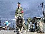 Российские миротворцы в Косово пройдут медицинское обследование с целью выявления случаев заболевания лейкемией Российские миротворцы в Косово пройдут медицинское обследование с целью выявления случаев заболевания лейкемией