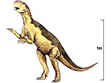 В Австралии воры украли из музея скелет динозавра возрастом в 110 млн лет