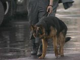 Паломников будут охранять милицейские патрули с собаками
