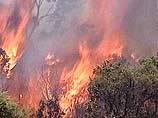 Лесные пожары бушуют всего в километре от нескольких поселков Хабаровского края, огнем охвачены 35 тыс гектаров тайги