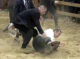 Премьер-министр Турции упал с лошади (ФОТО)