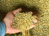 Украина будет расплачиваться с Россией за зерно натурой